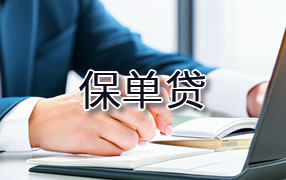 黔东南保单贷