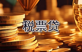 黔东南税票贷